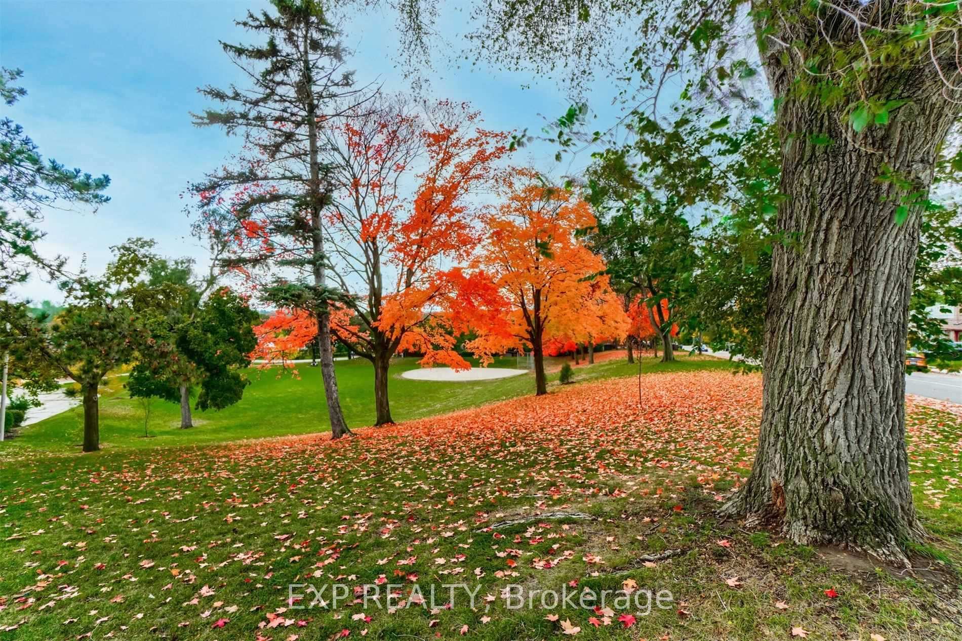 Photo 14 of Unit Lower, 5 Brendwin Road, Toronto, Rockcliffe-Smythe — HOMEH