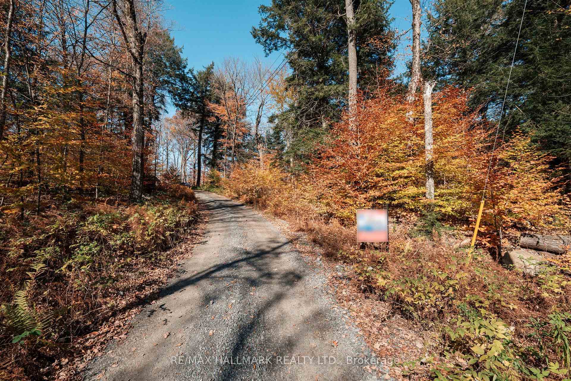 Photo of 1310 Camel Lake Road