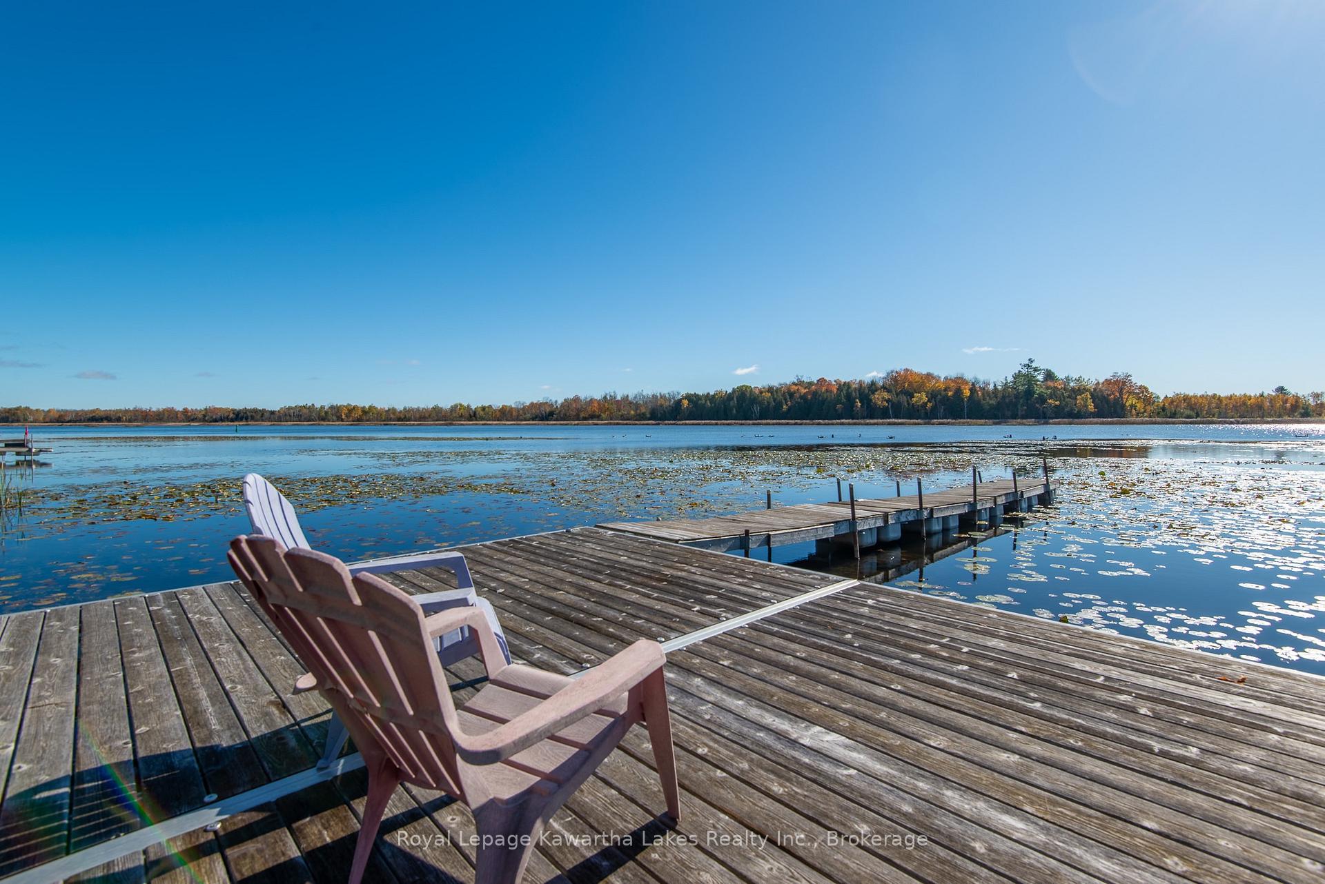 Photo 41 of 222 O'Reilly Lane, Kawartha Lakes, Little Britain — HOMEH
