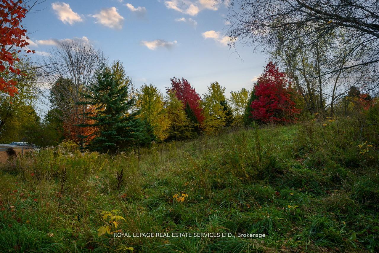 Photo 35 of 114 Elizabeth Street, Barrie, Ardagh — HOMEH