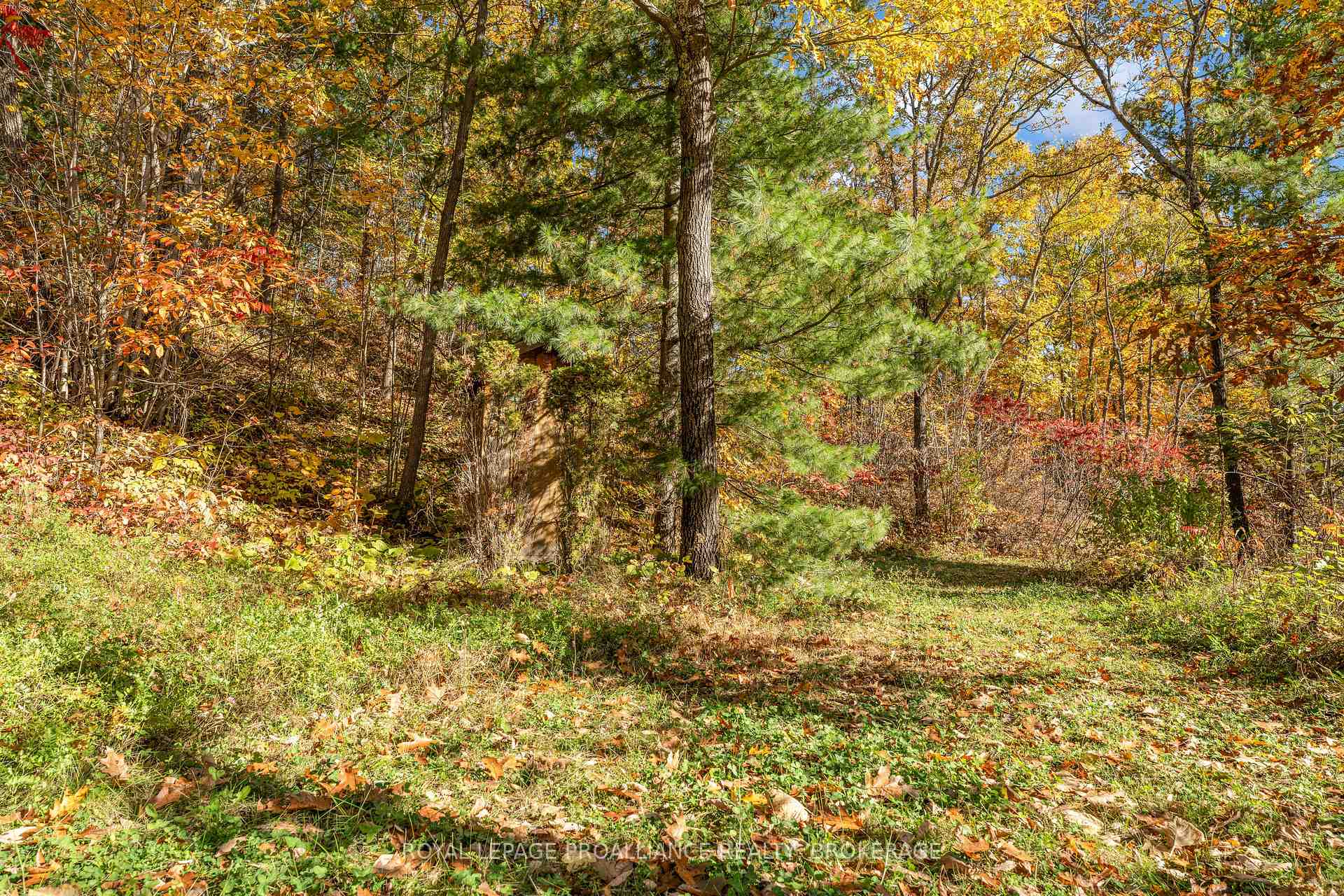 Photo 40 of 2089 Crow Lake Road, Frontenac, Frontenac Centre — HOMEH