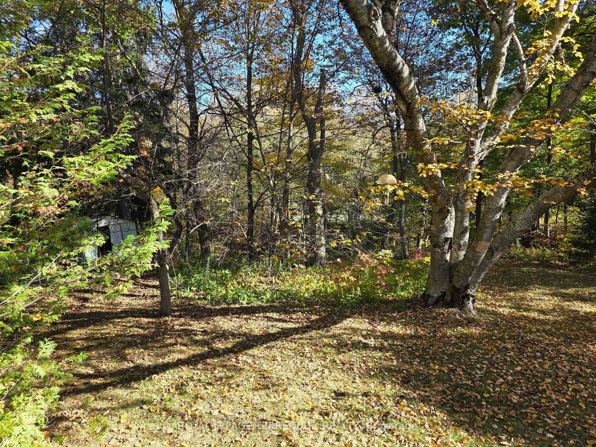 Photo 2 of 107 Cliffcrest Drive, Scarborough, Cliffcrest — HOMEH