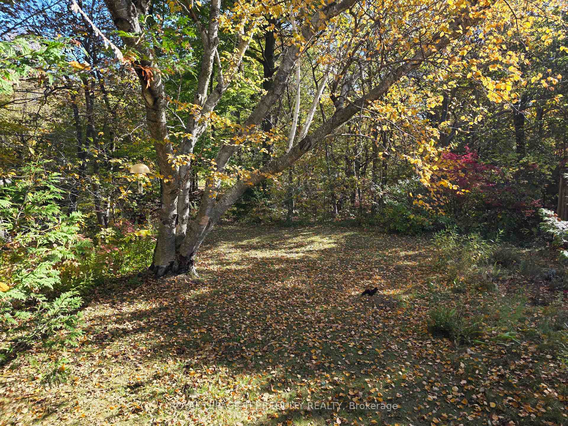 Photo 3 of 107 Cliffcrest Drive, Scarborough, Cliffcrest — HOMEH