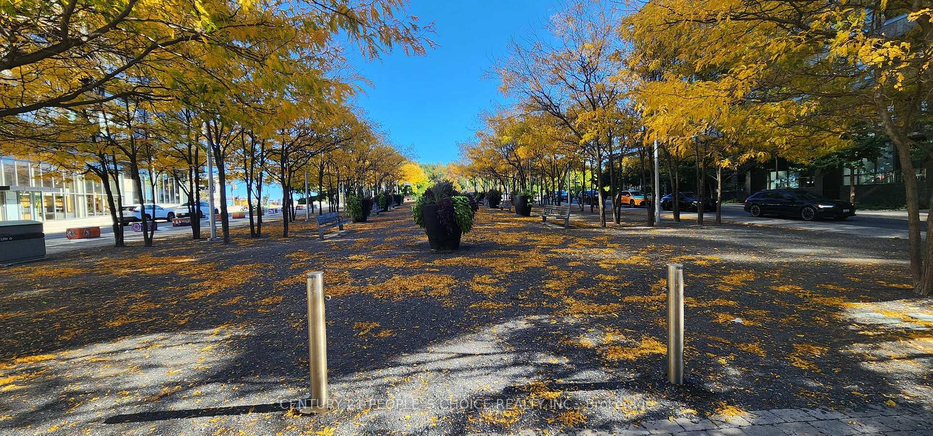Photo 4 of Unit 614, 21 Lawren Harris Square, Toronto, Moss Park — HOMEH