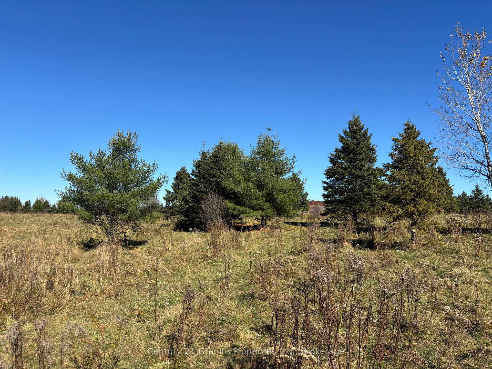 Photo 3 of Part 3 Balsam Road, Whitestone, Hagerman — HOMEH