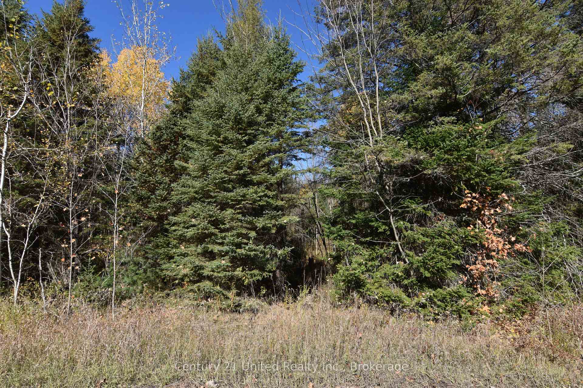 Photo 1 of Highway 620, Wollaston — HOMEH