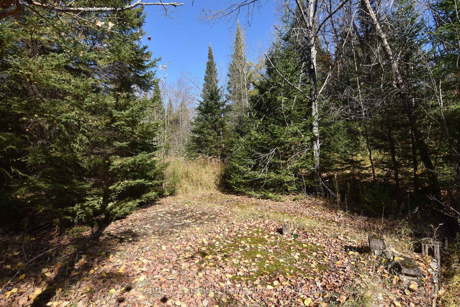 Photo 3 of Highway 620, Wollaston — HOMEH