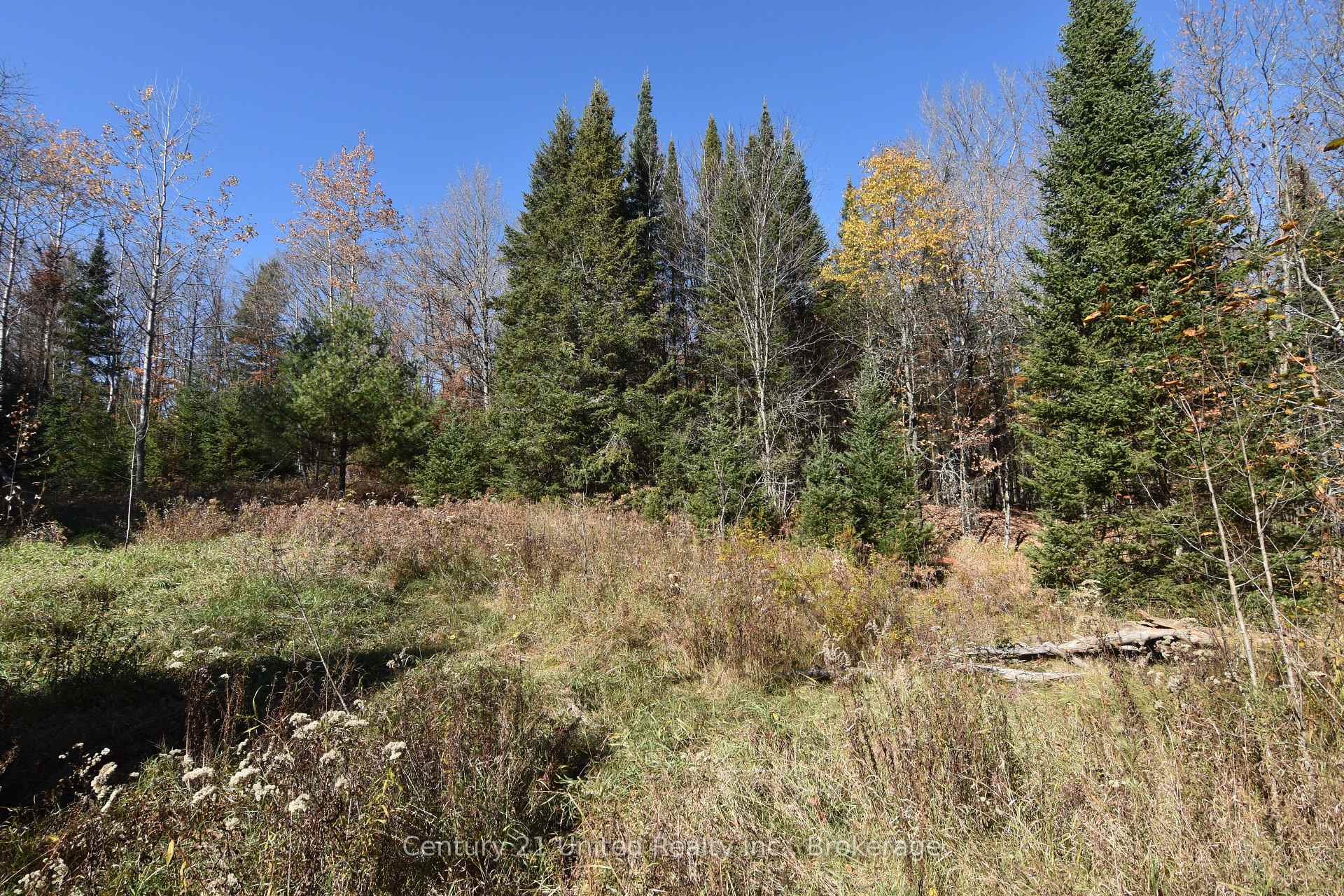 Photo 4 of Highway 620, Wollaston — HOMEH
