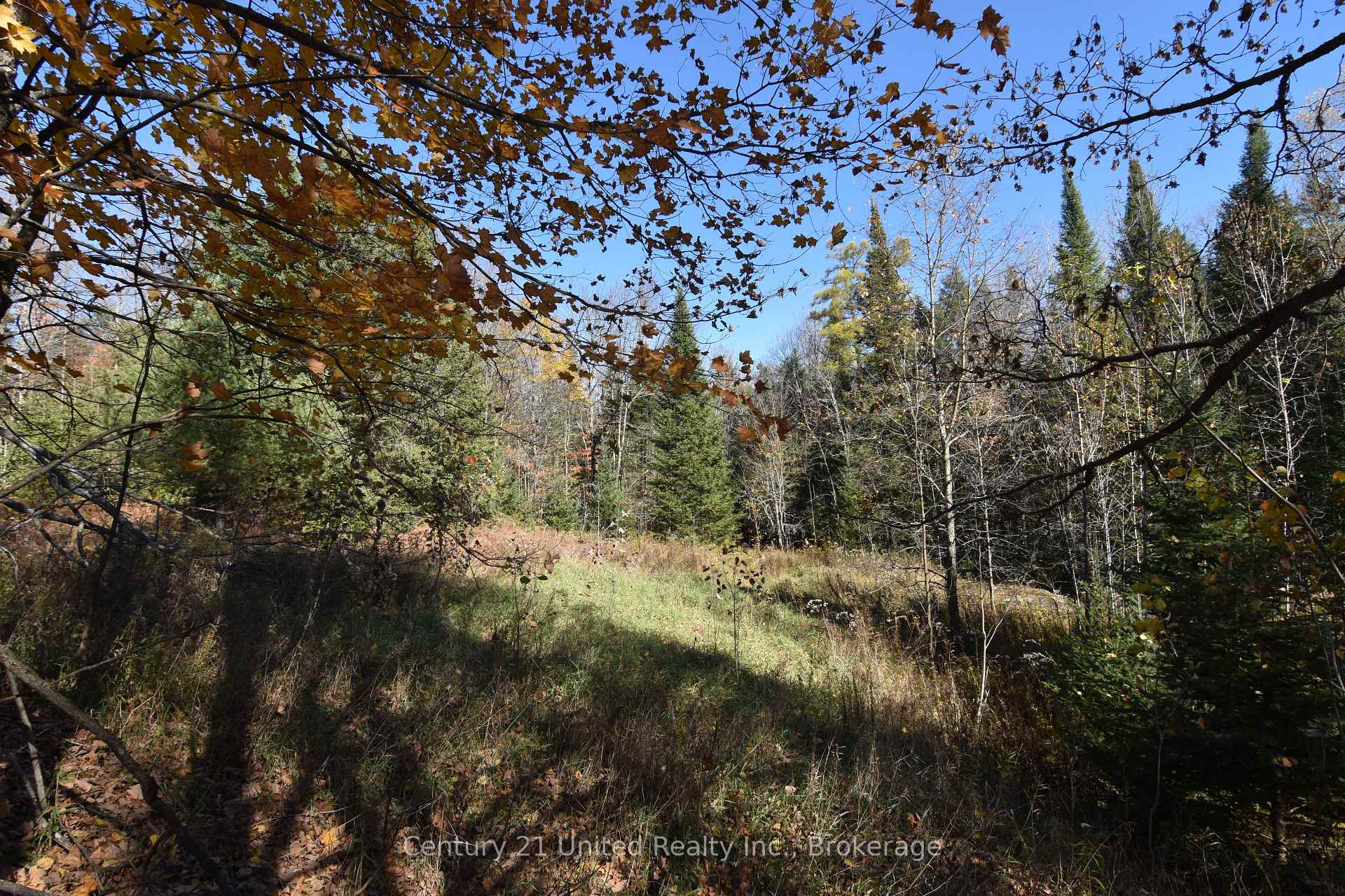 Photo 5 of Highway 620, Wollaston — HOMEH