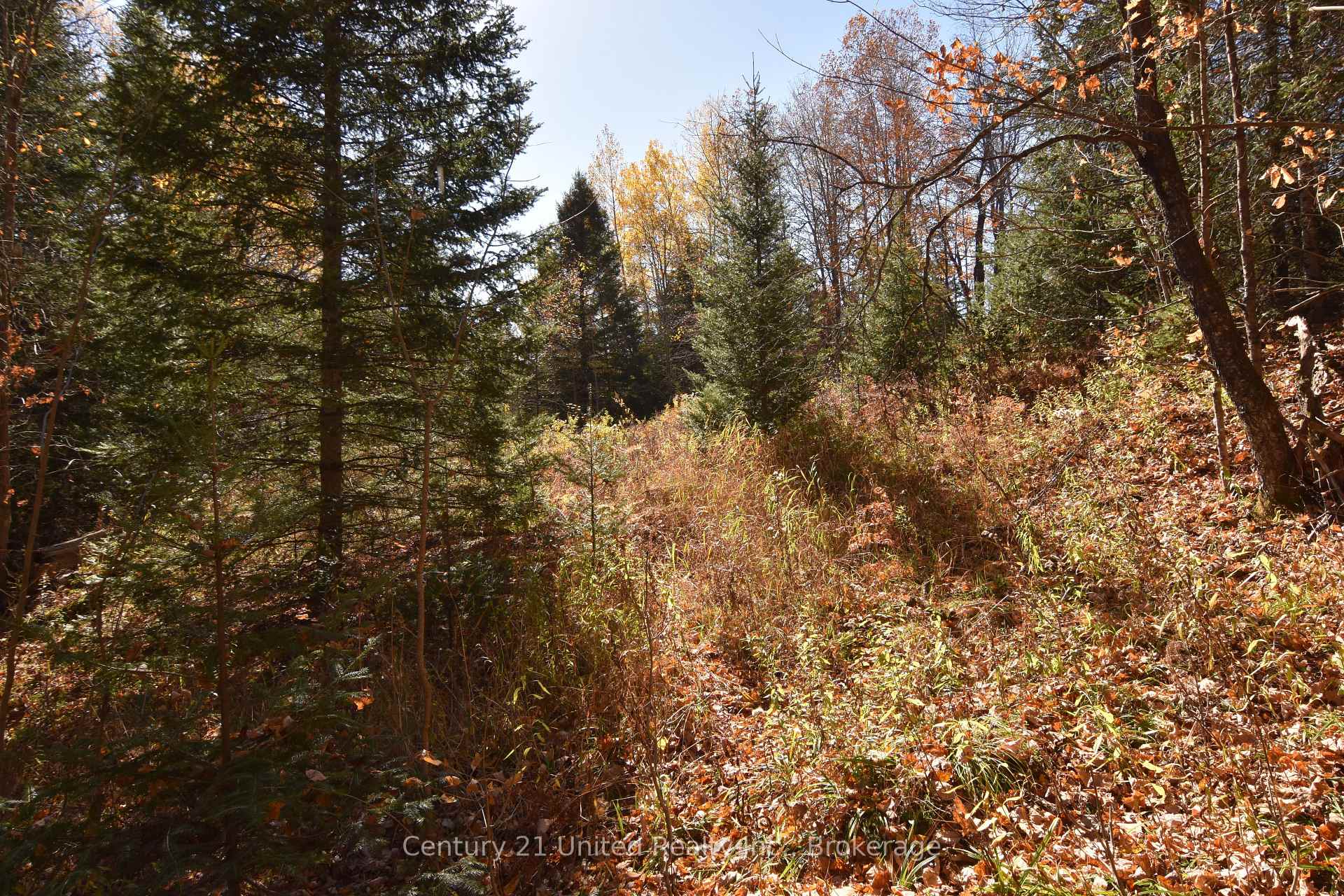 Photo 6 of Highway 620, Wollaston — HOMEH