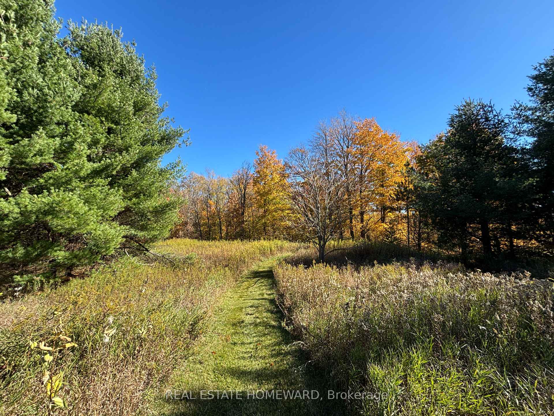 Photo 23 of 595343 Blindline Road, Mono, Rural Mono — HOMEH