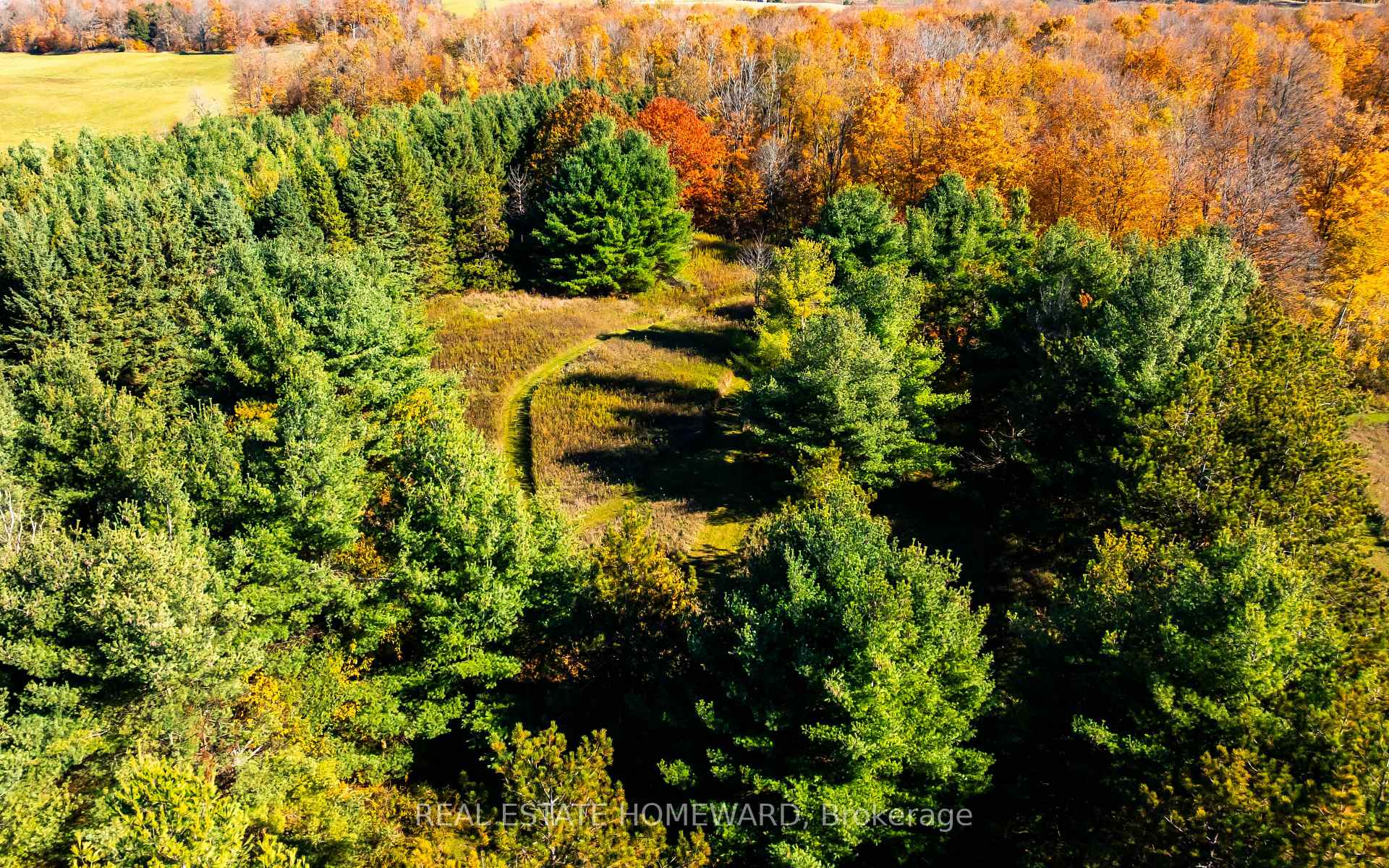 Photo 26 of 595343 Blindline Road, Mono, Rural Mono — HOMEH