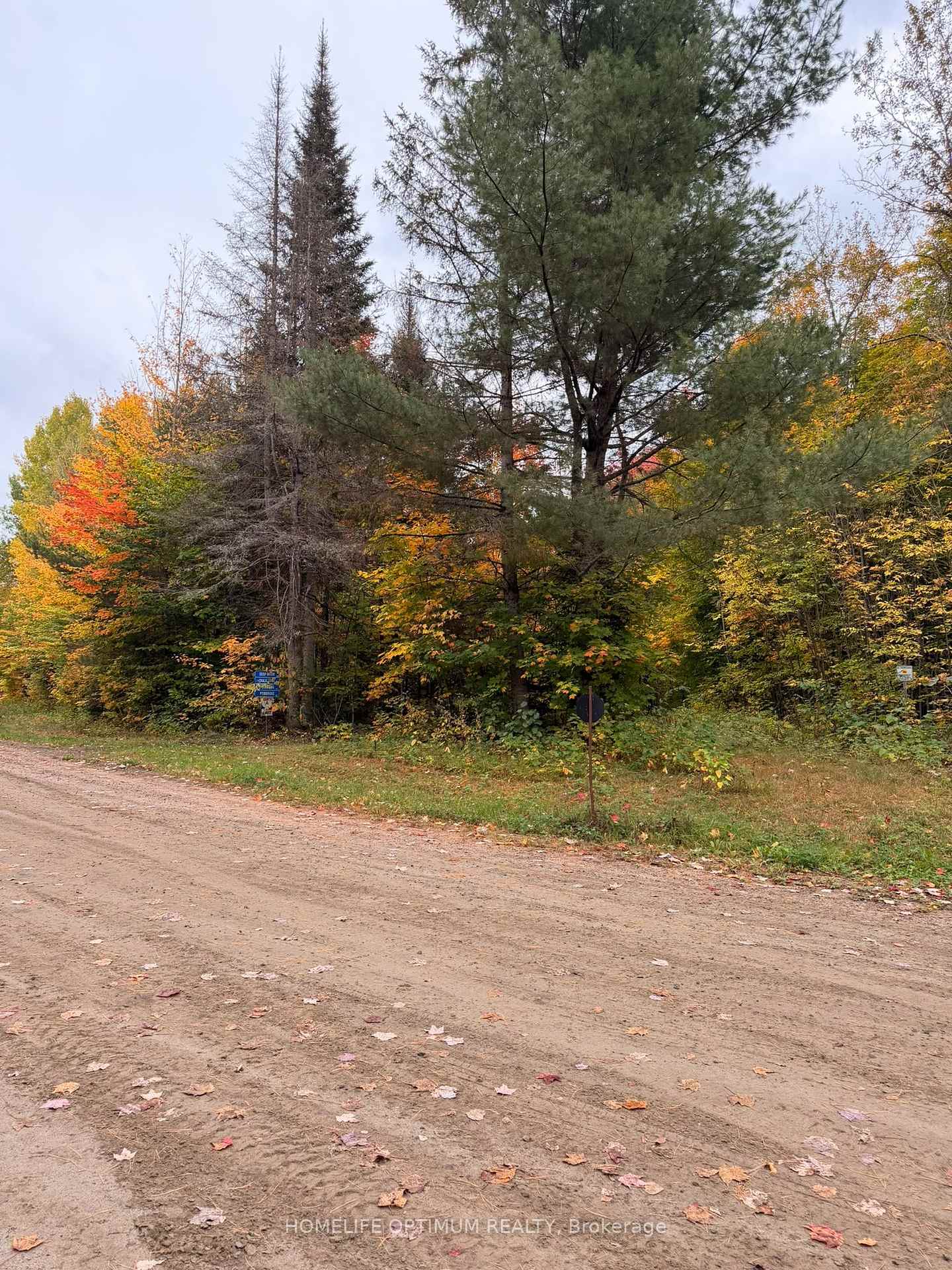 Photo of PT LT 26 CON A Loggers Road