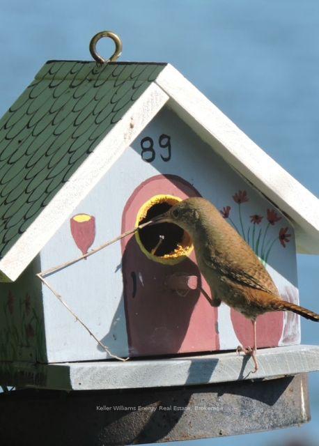 Photo 48 of 89 Smith's Bay Avenue, Prince Edward County, North Marysburg Ward — HOMEH