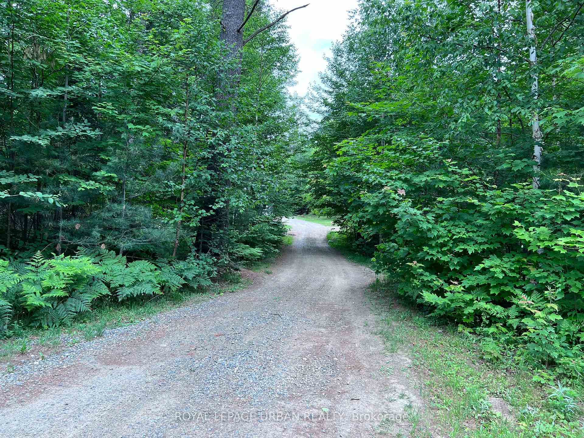 Photo 23 of 606 Rye Road, Parry Sound Remote Area, Lount — HOMEH