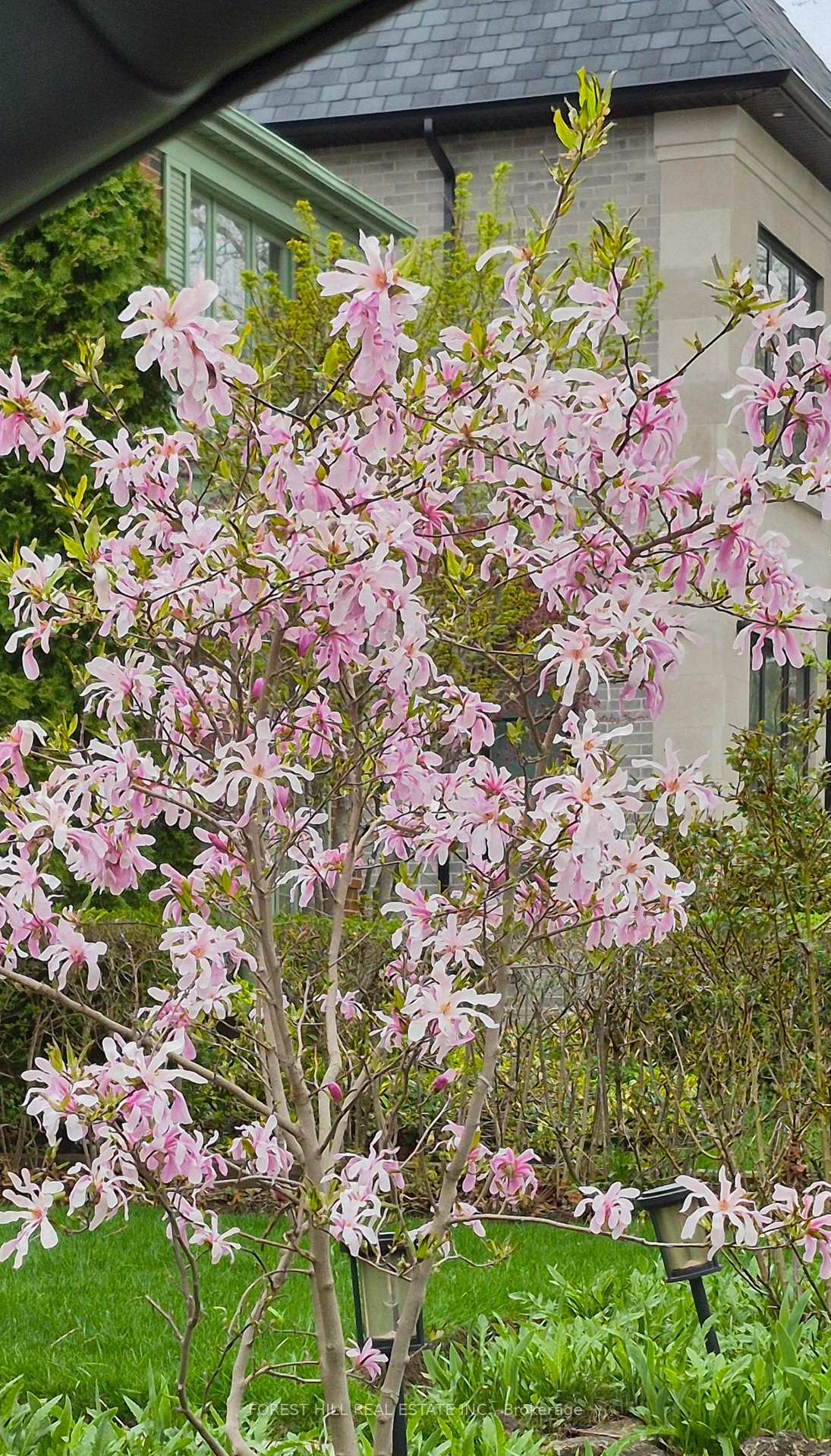 Photo 24 of 44 Ridge Hill Drive, Toronto, Forest Hill North — HOMEH