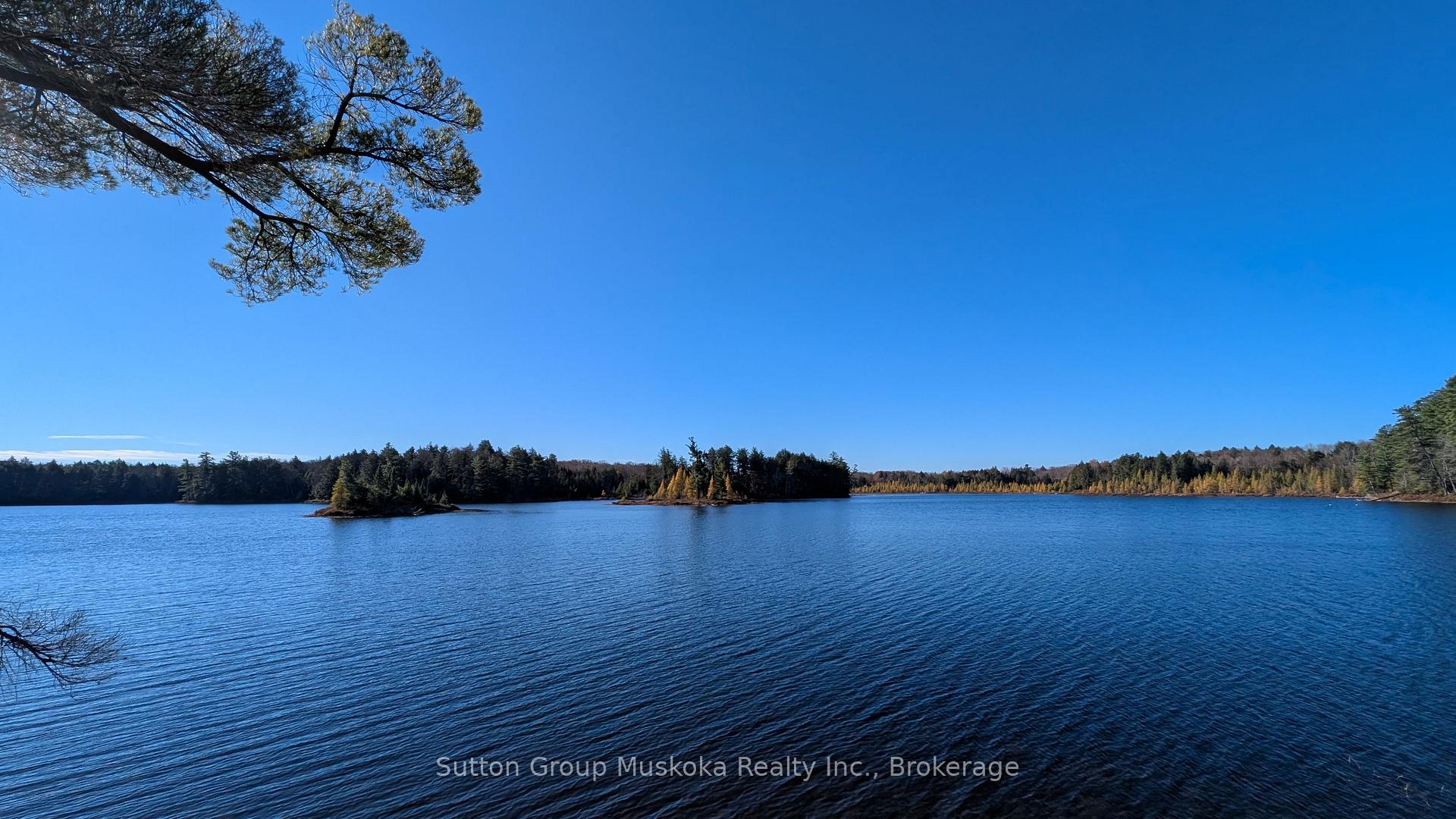 Photo of 1448 Limberlost Road