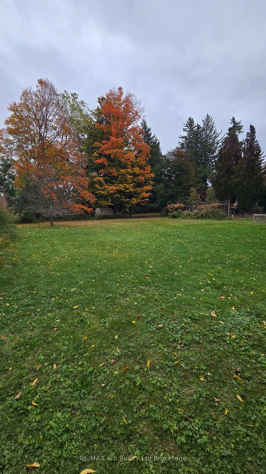 Photo 11 of 361 Vincent Street, Woodstock, Woodstock - North — HOMEH