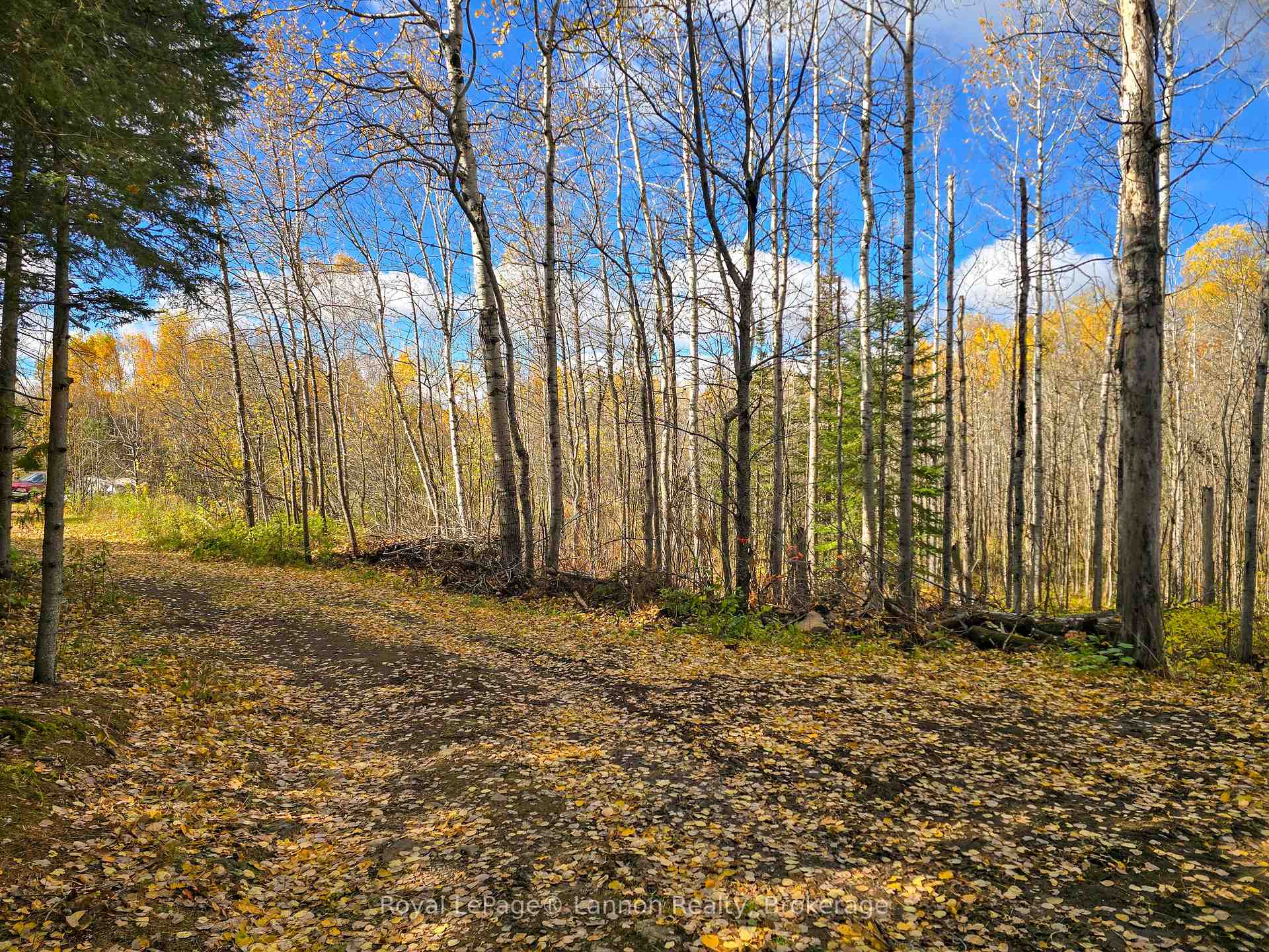 Photo 2 of 295 Beckwick Road, Thunder Bay, McIntyre South — HOMEH
