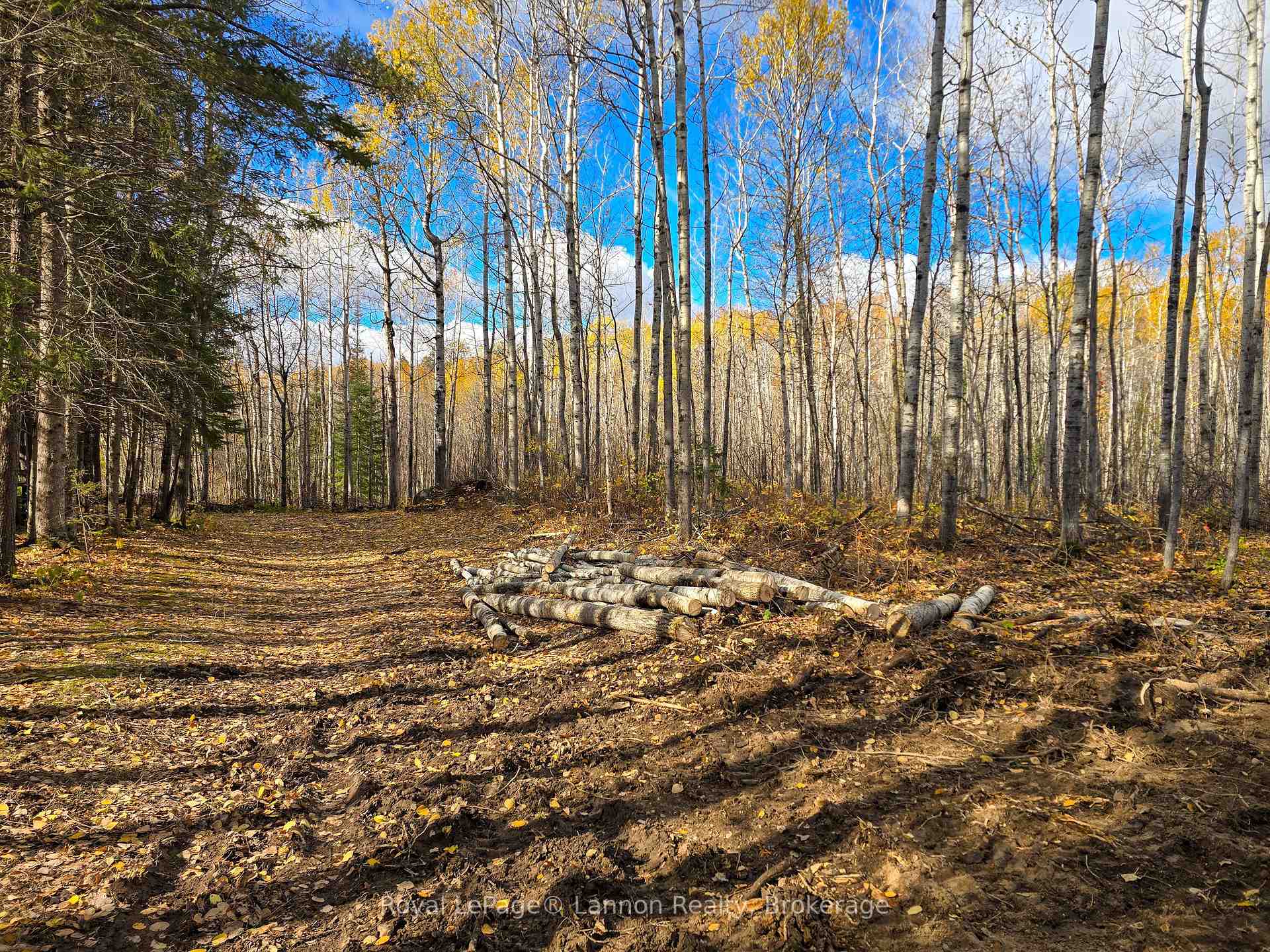 Photo 3 of 295 Beckwick Road, Thunder Bay, McIntyre South — HOMEH