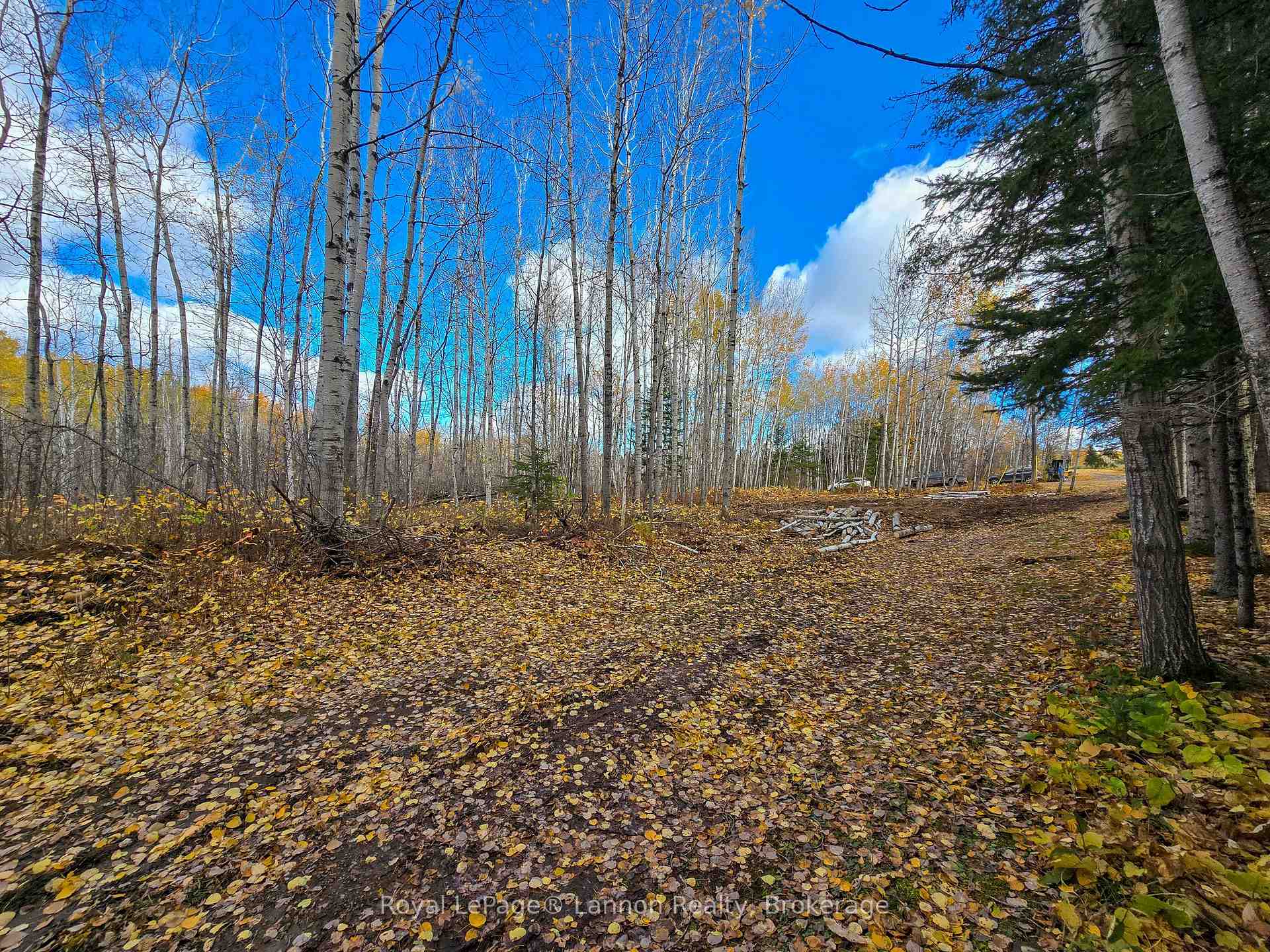 Photo 4 of 295 Beckwick Road, Thunder Bay, McIntyre South — HOMEH