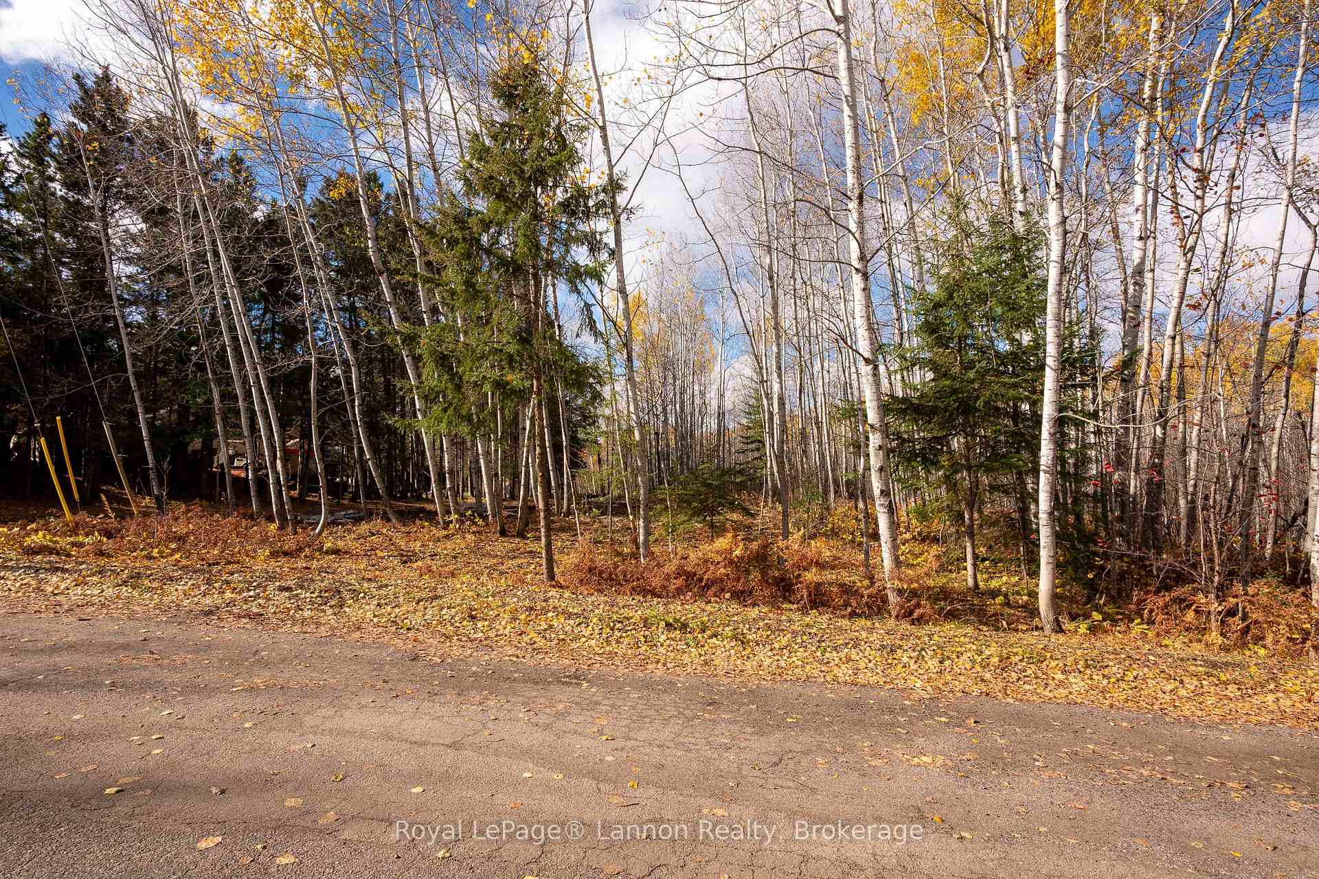 Photo 5 of 295 Beckwick Road, Thunder Bay, McIntyre South — HOMEH