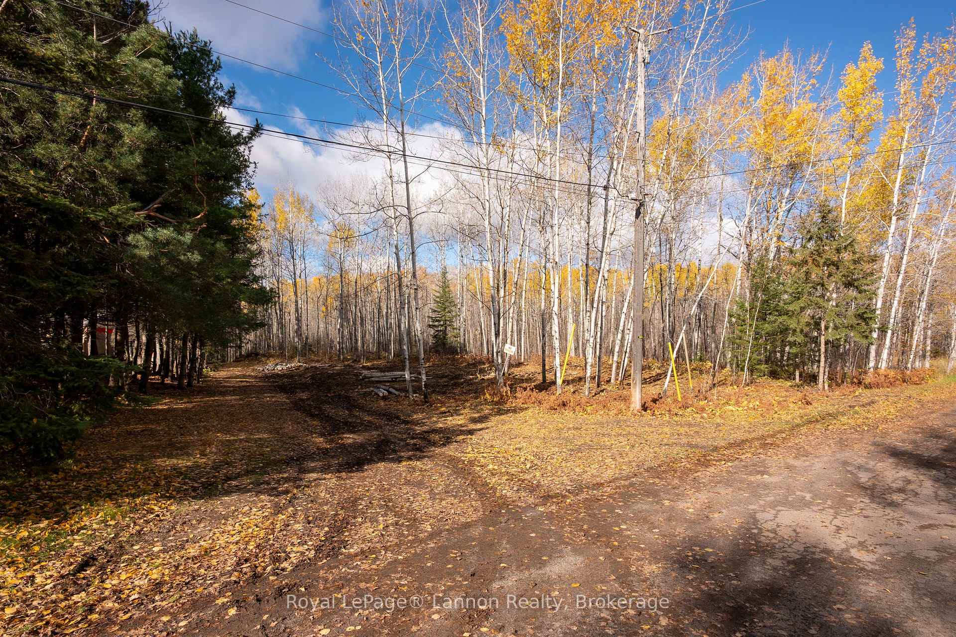 Photo 6 of 295 Beckwick Road, Thunder Bay, McIntyre South — HOMEH