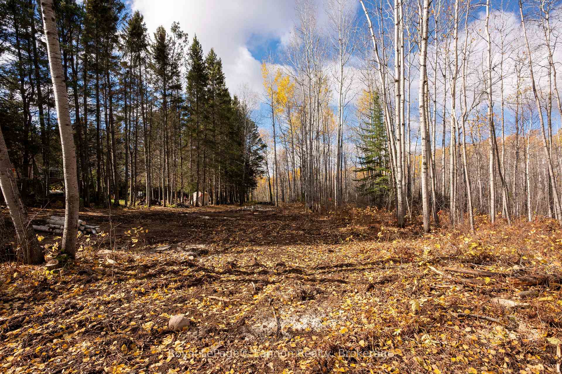 Photo 7 of 295 Beckwick Road, Thunder Bay, McIntyre South — HOMEH