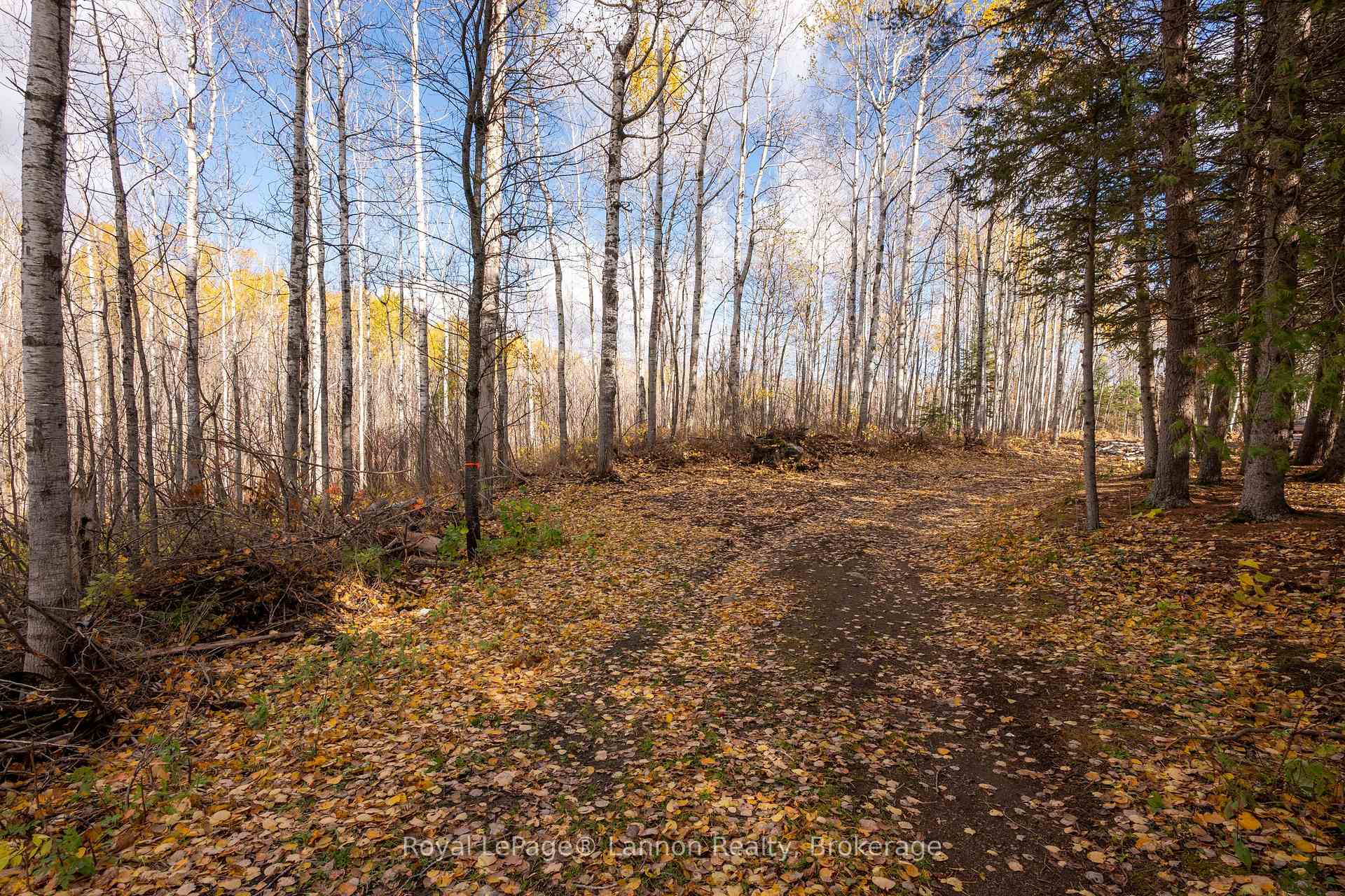 Photo 8 of 295 Beckwick Road, Thunder Bay, McIntyre South — HOMEH