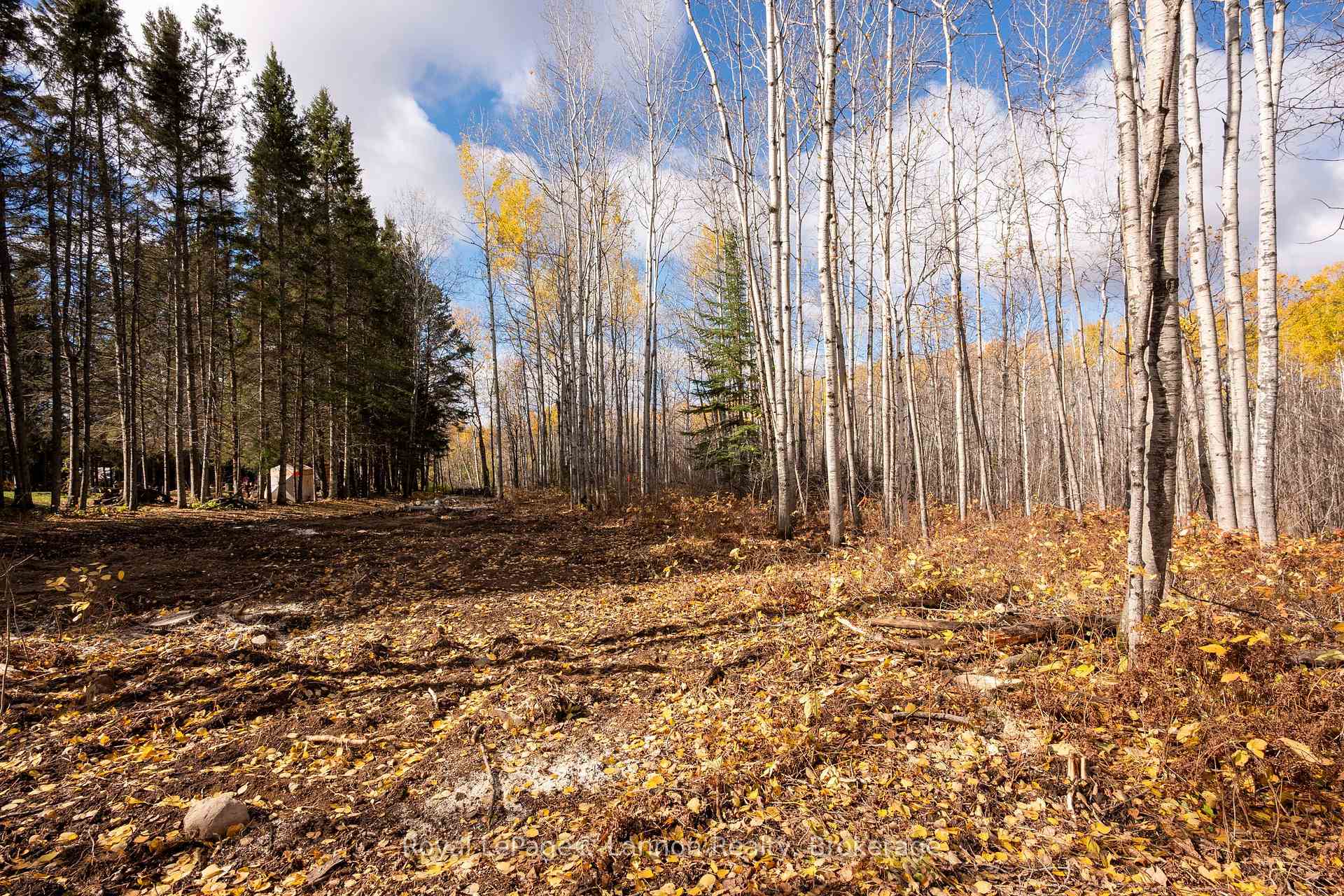 Photo 9 of 295 Beckwick Road, Thunder Bay, McIntyre South — HOMEH