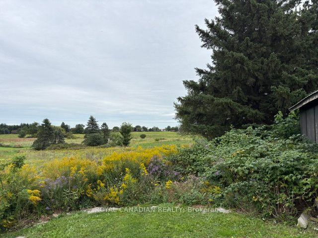 Photo 6 of 802 Highway 6, Haldimand — HOMEH