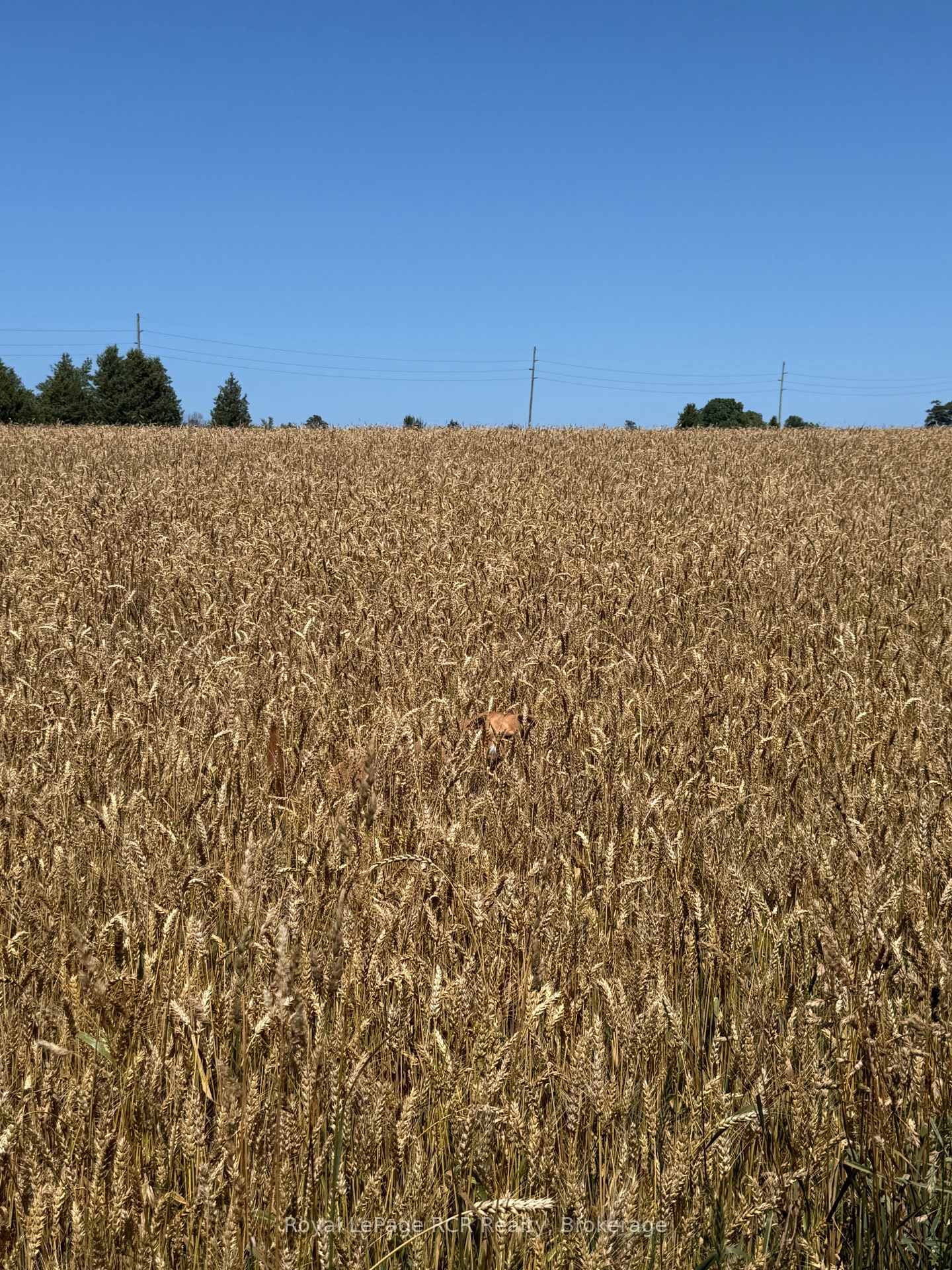 Photo 9 of Lot 11 Concession 4(5), Kincardine — HOMEH