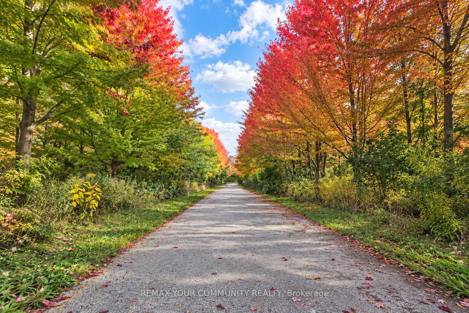 Photo 47 of 108 Golden Forest Road, Vaughan, Patterson — HOMEH