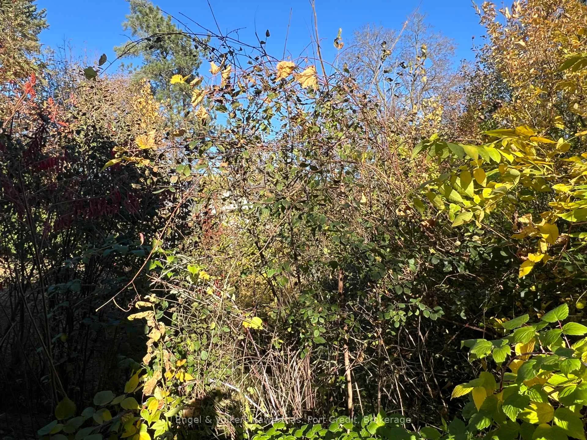Photo 2 of 770 Curtis Road, Peterborough, Ashburnham Ward 4 — HOMEH