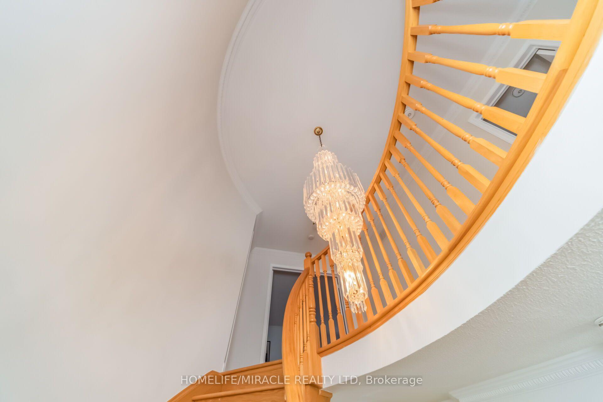Photo 26 of 32 Gold Tree Street, Brampton, Sandringham-Wellington — HOMEH