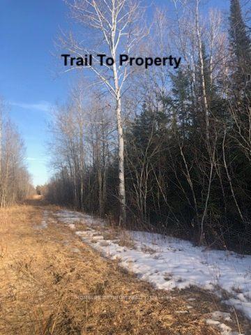 Photo 6 of PCL 21518A Nelles, Rainy River Remote Area — HOMEH