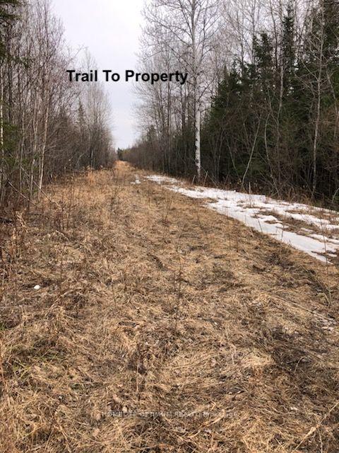 Photo 7 of PCL 21518A Nelles, Rainy River Remote Area — HOMEH