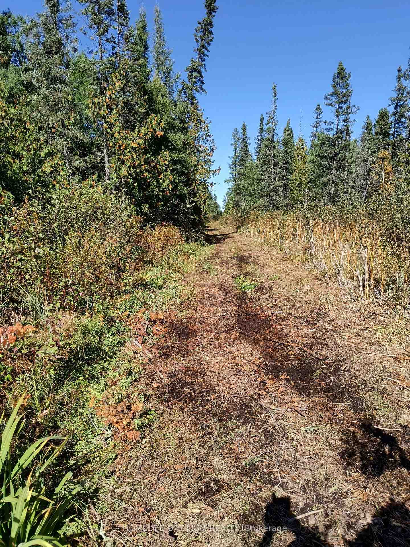 Photo 13 of PCL 21518A Nelles, Rainy River Remote Area — HOMEH