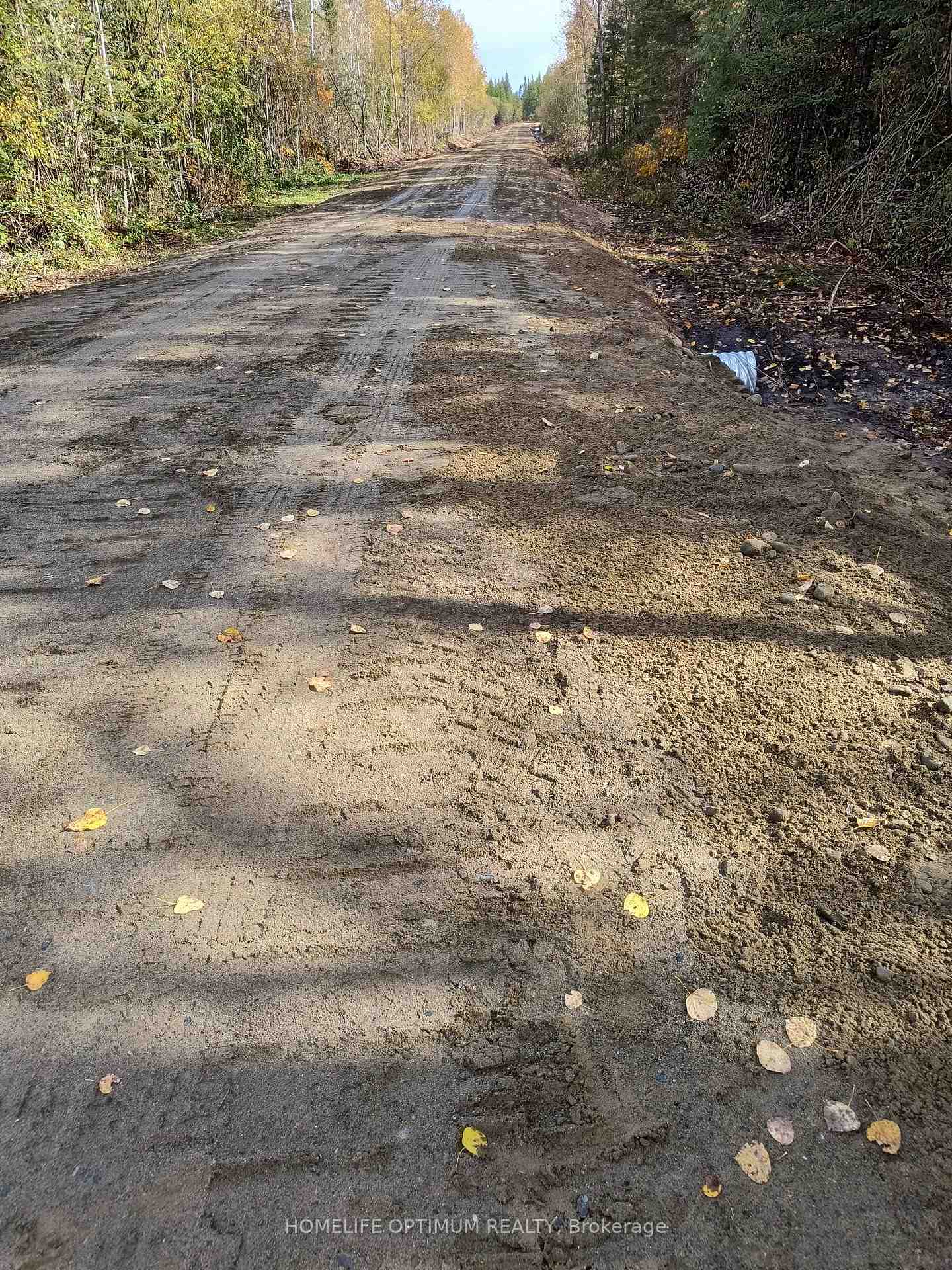 Photo 14 of PCL 21518A Nelles, Rainy River Remote Area — HOMEH