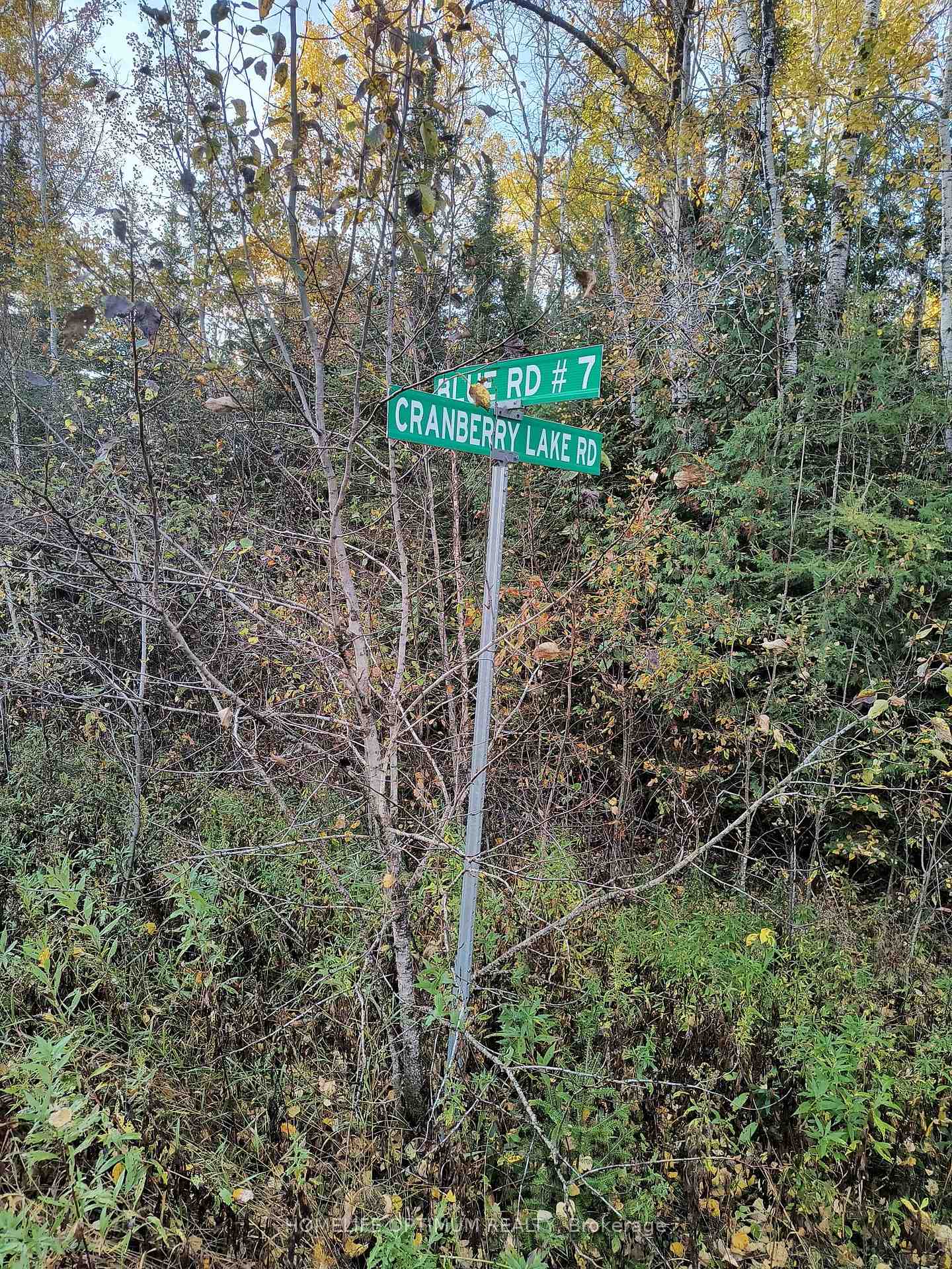 Photo 16 of PCL 21518A Nelles, Rainy River Remote Area — HOMEH