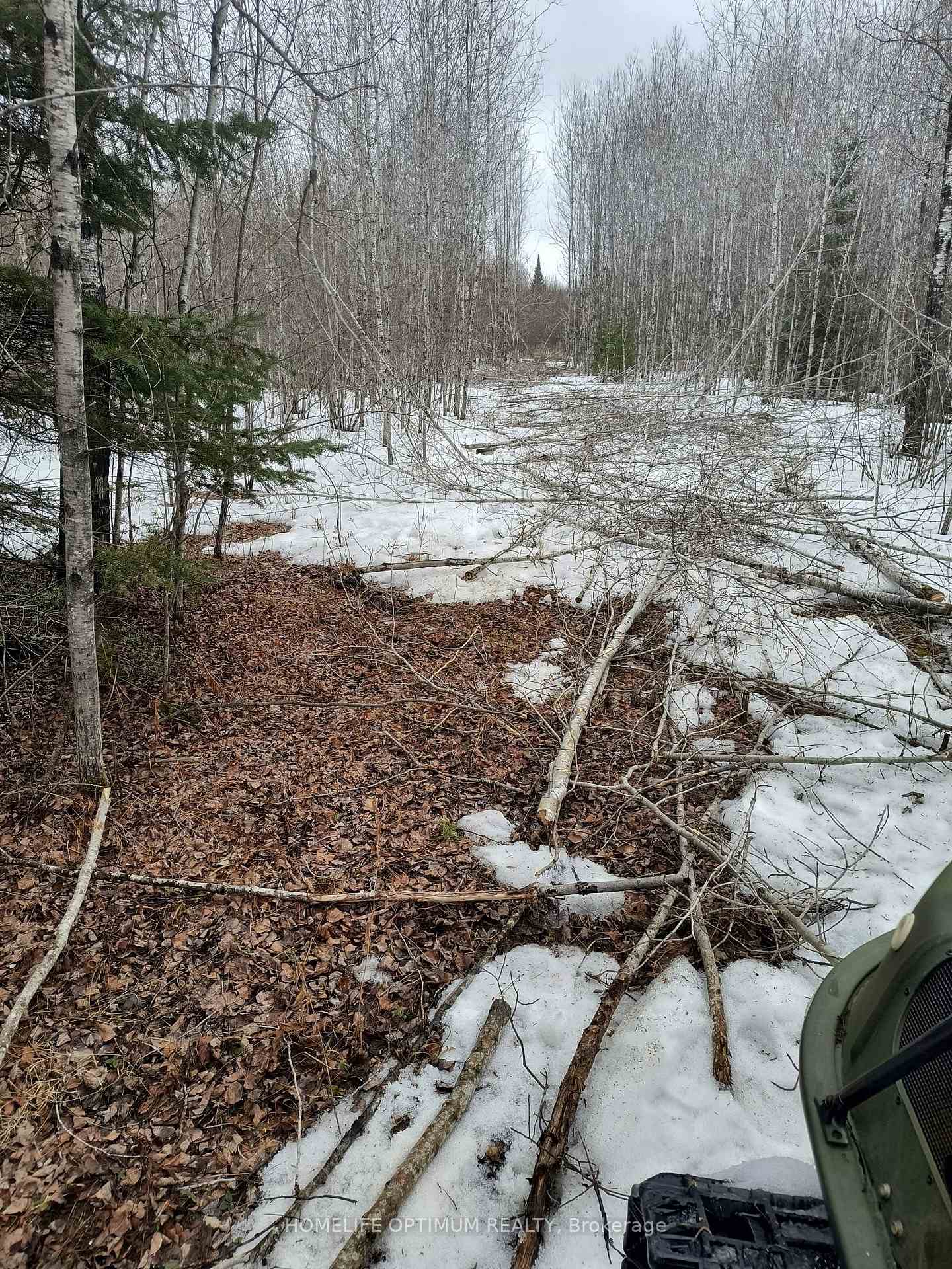 Photo 18 of PCL 21518A Nelles, Rainy River Remote Area — HOMEH