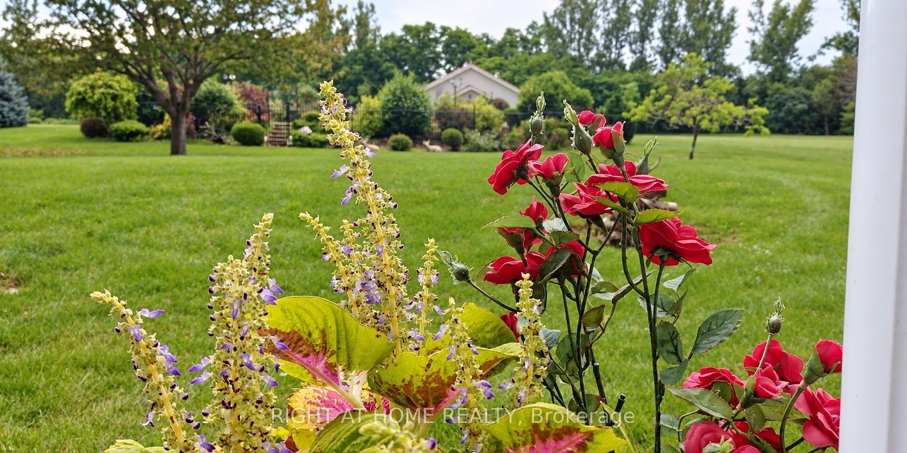 Photo 7 of 3 Cedar Avenue, Hamilton, Greensville — HOMEH