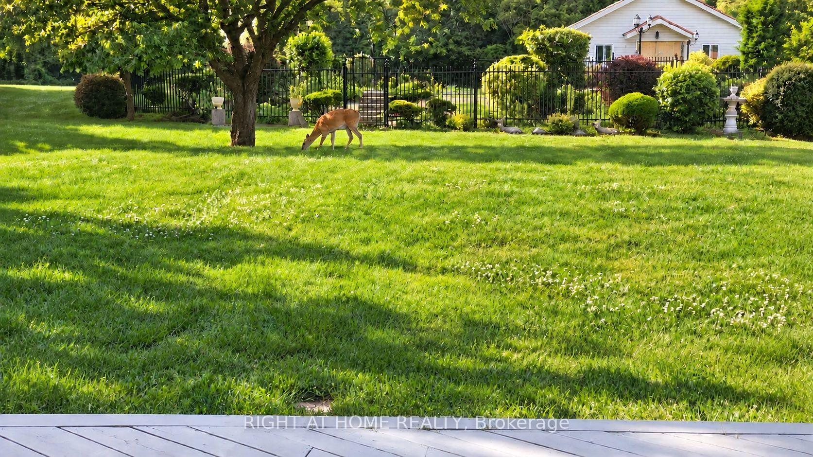 Photo 16 of 3 Cedar Avenue, Hamilton, Greensville — HOMEH