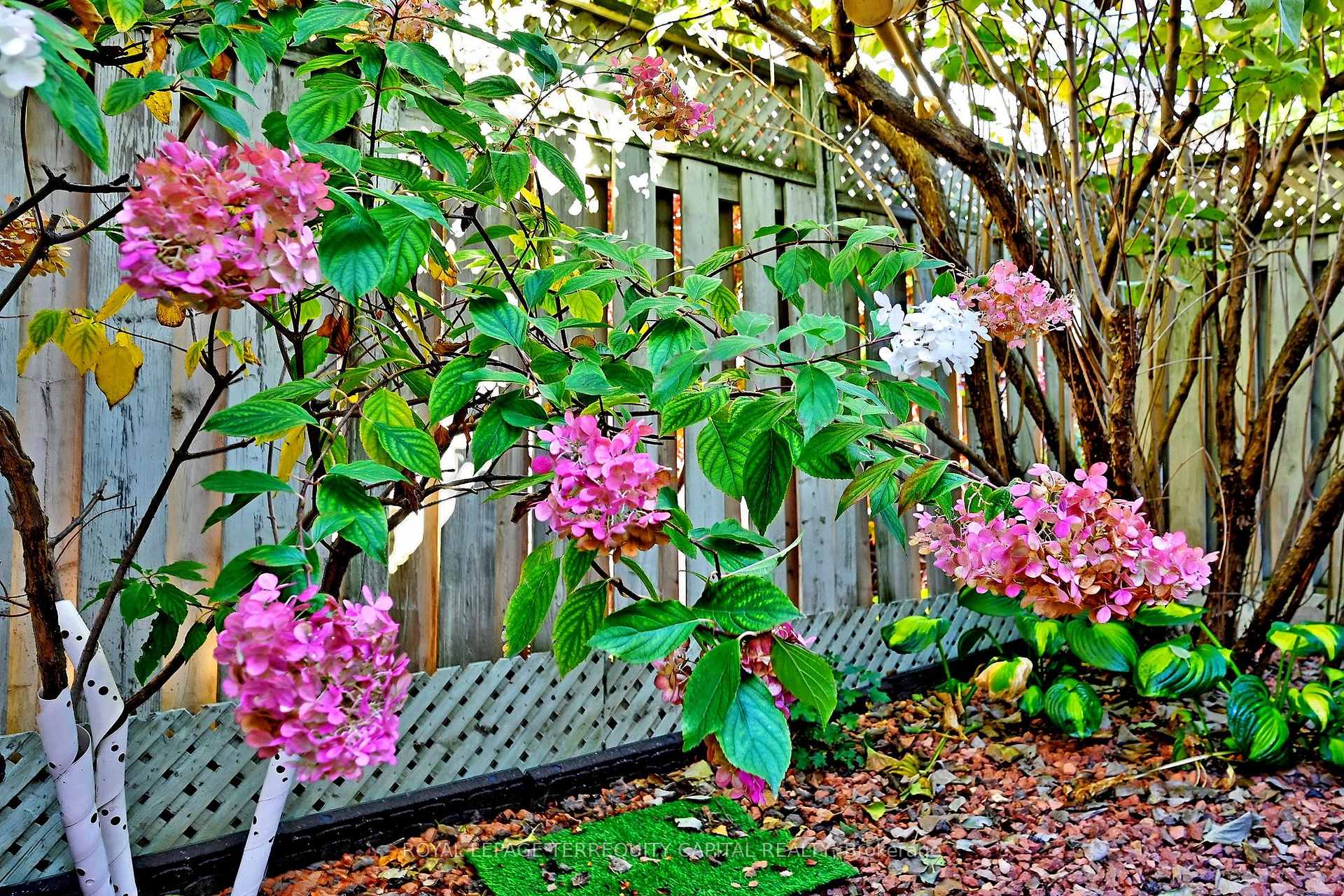Photo 42 of 22 Pedersen Drive, Aurora, Bayview Wellington — HOMEH