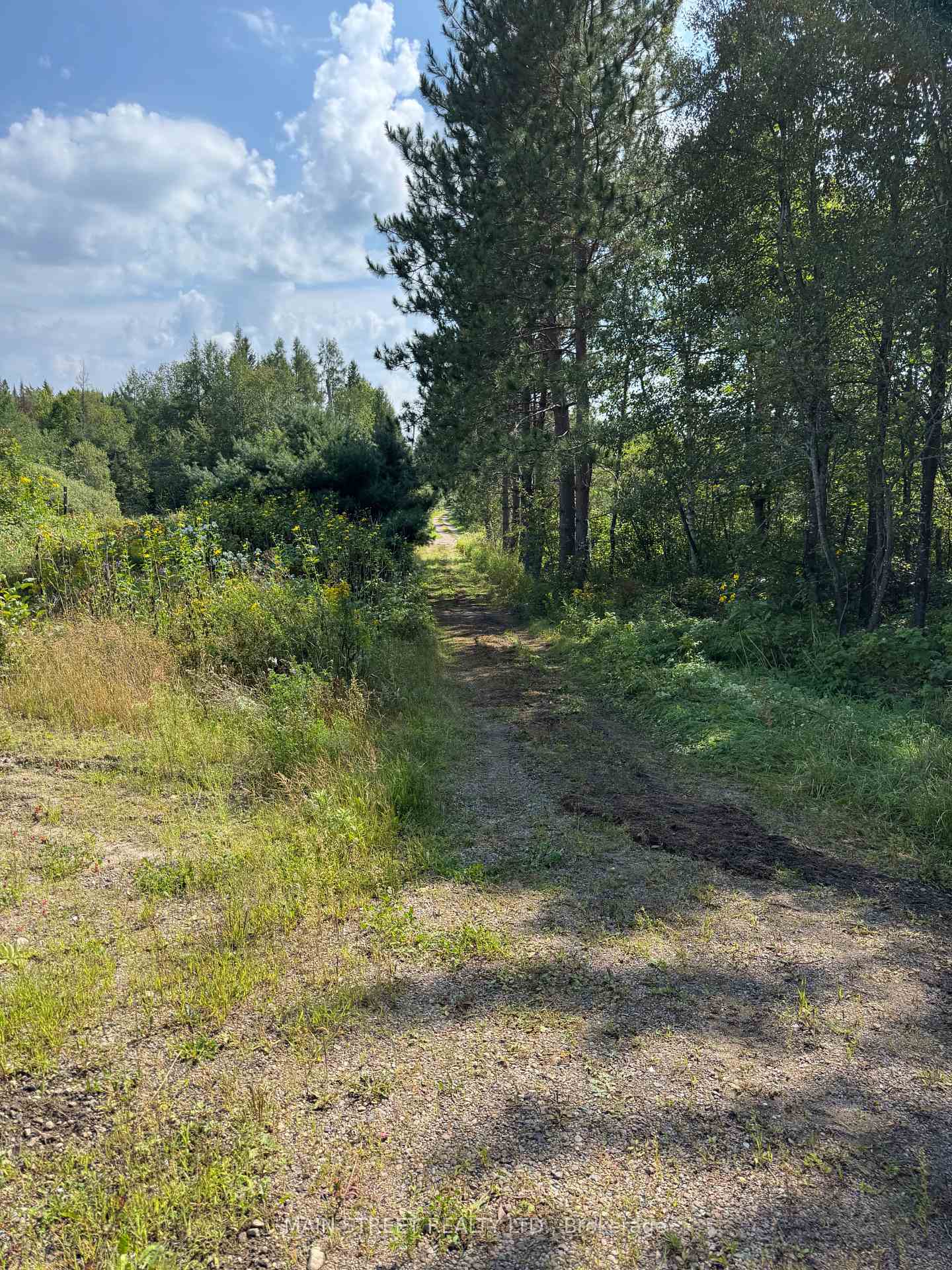 Front of 2591 Papineau Road