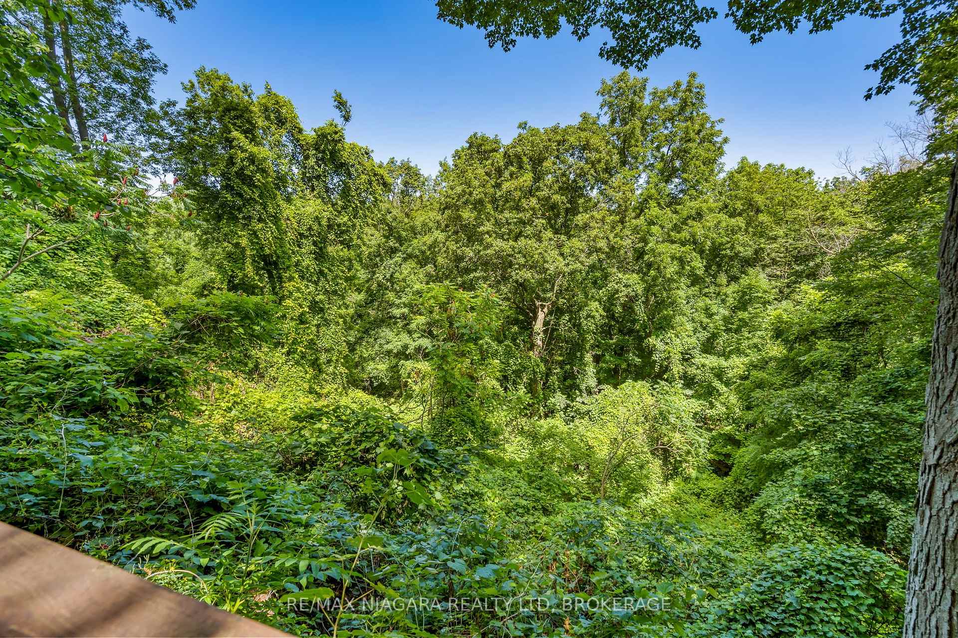 Photo 21 of 429 Ridge Road E, Grimsby, Grimsby Escarpment — HOMEH
