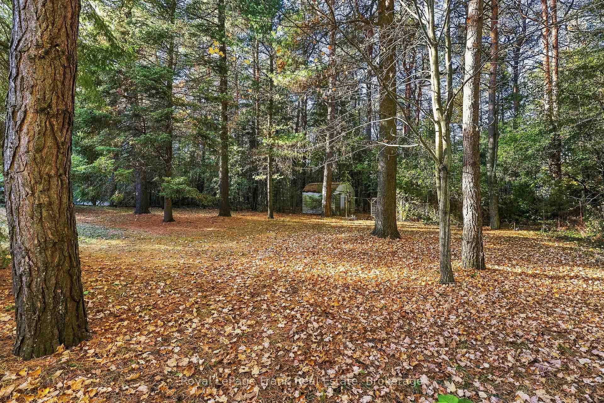 Photo 33 of 103 Waite Road, Kawartha Lakes, Manvers — HOMEH