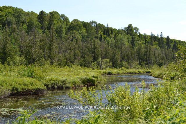 Photo 8 of Pt Lt 6 Con 9, Highlands East, Monmouth — HOMEH
