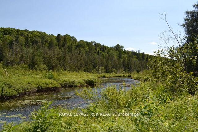 Photo 9 of Pt Lt 6 Con 9, Highlands East, Monmouth — HOMEH