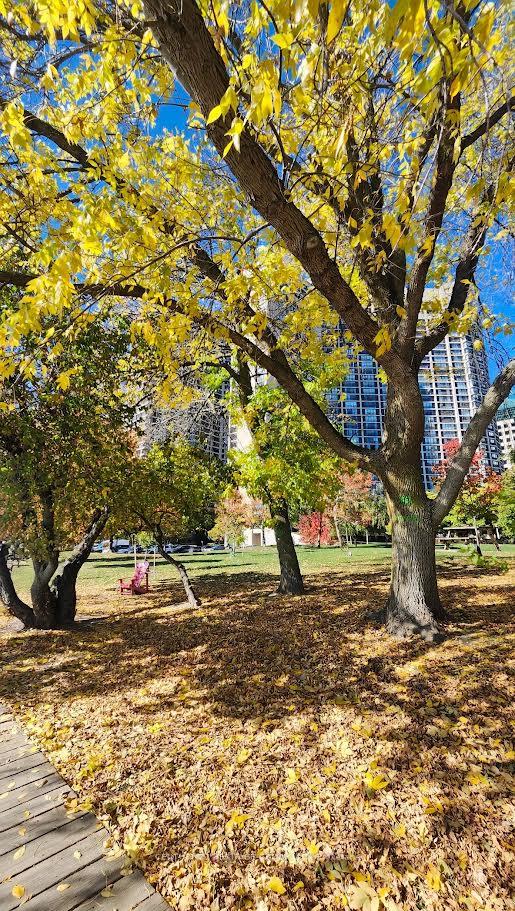 Photo 17 of Unit 1822, 33 Harbour Square, Toronto, Waterfront Communities — HOMEH